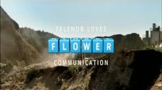 poster-17116-telenor-tractor-236x132