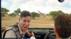 poster-17145-kulula-com-american-236x132