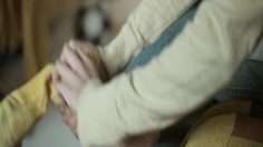 poster-17167-amf-pension-the-fan-236x132