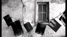 poster-17214-droits-et-libertes-aide-humanitaire-hospital-236x132