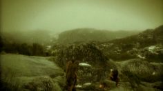 poster-17230-nikon-oval-wheel-236x132