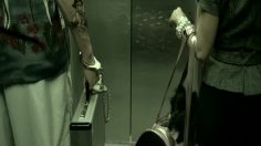 poster-17231-boxer-digital-tv-town-236x132