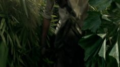 poster-17233-boxer-digital-tv-indiana-236x132