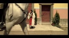 poster-17239-qfort-fenetre-neighbour-236x132