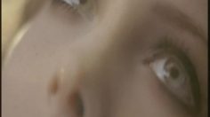 poster-17248-diesel-fuel-for-life-unlimited-alive-236x132