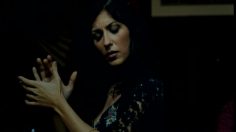 poster-17278-seat-spanish-and-german-236x132