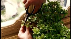 poster-17294-sky-hot-club-miniatures-236x132