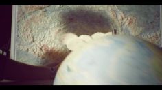 poster-17340-pardal-real-beer-for-real-guys-236x132