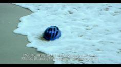 poster-17369-o2-turtles-236x132