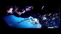 poster-17399-montenegro-floating-beauty-236x132