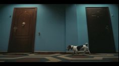 poster-17417-creditmart-dog-pee-236x132