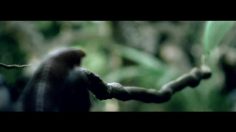 poster-17418-amf-pension-fund-caterpillar-236x132