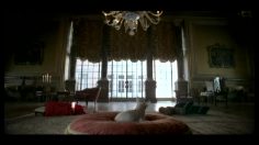 poster-17450-amnesty-international-anti-pauvrete-dogs-like-men-236x132