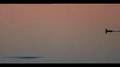 poster-17478-smart-fortwo-mhd-canard-plongeur-canadien-236x132