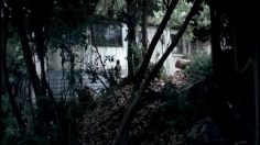 poster-17510-norwegian-oil-kiss-236x132