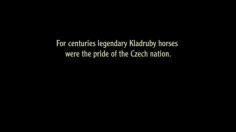 poster-17534-pilsner-urquell-horses-236x132