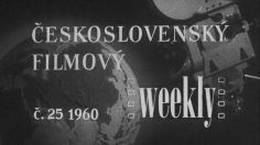 poster-17542-kofola-love-is-not-a-science-236x132