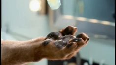 poster-17545-orangina-rasage-236x132