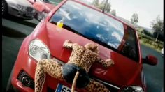 poster-17546-orangina-lavage-236x132