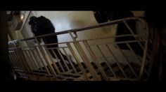 poster-17564-sncf-intercites-paris-deauville-code-236x132