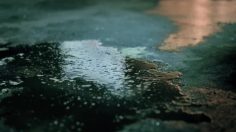 poster-17571-droits-et-libertes-liberte-d-expression-typewriter-236x132