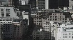 poster-17579-protection-environnement-the-sparrow-236x132