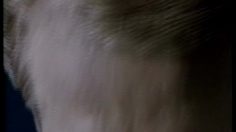 poster-1759-panasonic-panasonic-national-piles-robot-tennis-236x132