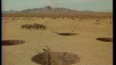 poster-1760-nissin-cup-noodle-la-chevre-236x132