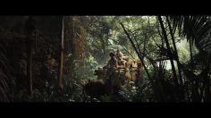 poster-17622-reale-mutua-assicurazioni-notes-236x132