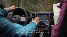 poster-17630-subaru-forester-bigfoot-236x132