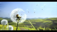 poster-17648-ubisoft-zombiu-god-save-the-queen-236x132