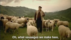 poster-17653-leki-le-berger-236x132