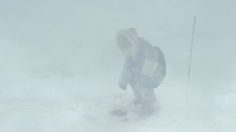 poster-17660-kallimanis-fresh-or-frozen-236x132