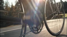 poster-17664-emmentaler-emmentaler-236x132