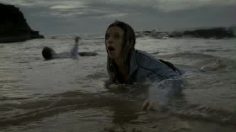 poster-17672-pickwick-elements-236x132