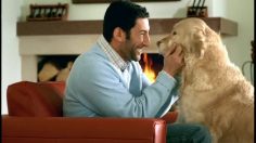 poster-17683-orbit-dog-236x132