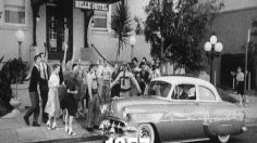 poster-17759-telenor-tv-on-your-mobile-236x132