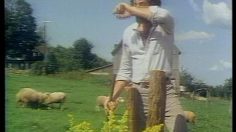 poster-1776-molson-la-ferme-236x132