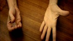 poster-17777-belgacom-hotline-coins-236x132