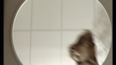 poster-17784-bentelhalal-com-woman-236x132