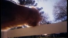 poster-1780-molson-le-chien-236x132