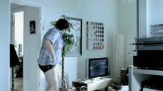 poster-17805-net-on-net-the-yucca-palm-236x132