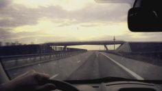 poster-17815-gradina-de-sud-insects-236x132