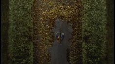 poster-17818-vattenfall-electricite-power-of-wind-236x132