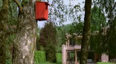 poster-17821-compo-engrais-compo-236x132