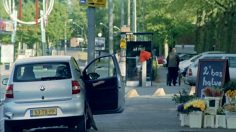 poster-17845-volkswagen-fox-flowerstand-236x132