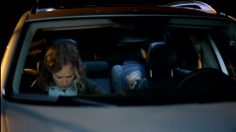 poster-17850-volkswagen-variant-passport-236x132