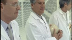 poster-17852-volkswagen-soccer-236x132