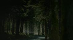 poster-17859-peugeot-607-the-clan-236x132