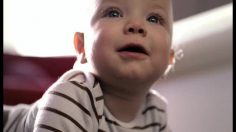 poster-17864-renault-megane-grandtour-baby-236x132